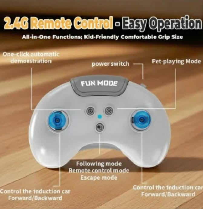 2.4GHz Mini Drift Car – Remote & Induction Control Toy