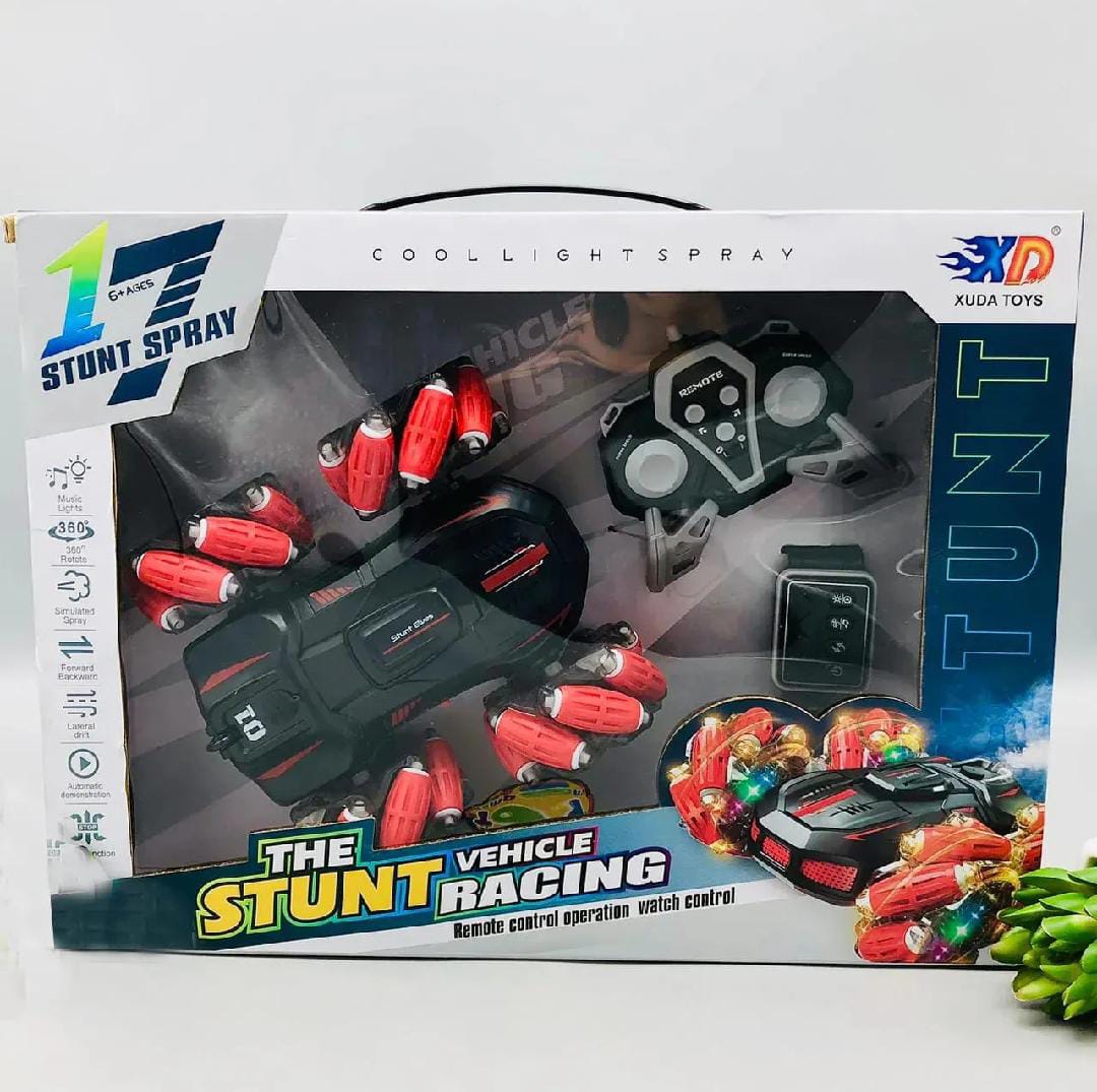 Vehicle Stunt Racing Car